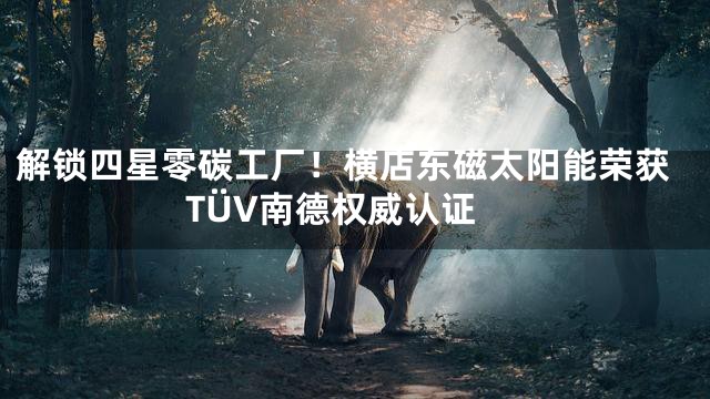 解锁四星零碳工厂！横店东磁太阳能荣获TÜV南德权威认证