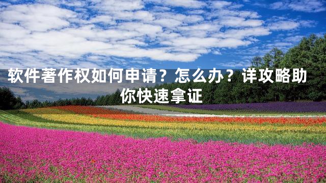 软件著作权如何申请？怎么办？详攻略助你快速拿证