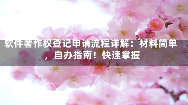 软件著作权登记申请流程详解：材料简单，自办指南！快速掌握