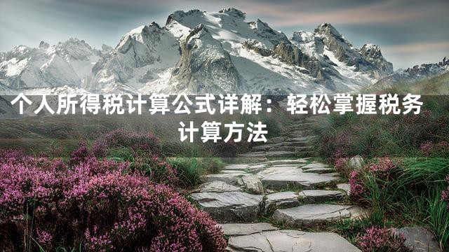 个人所得税计算公式详解：轻松掌握税务计算方法