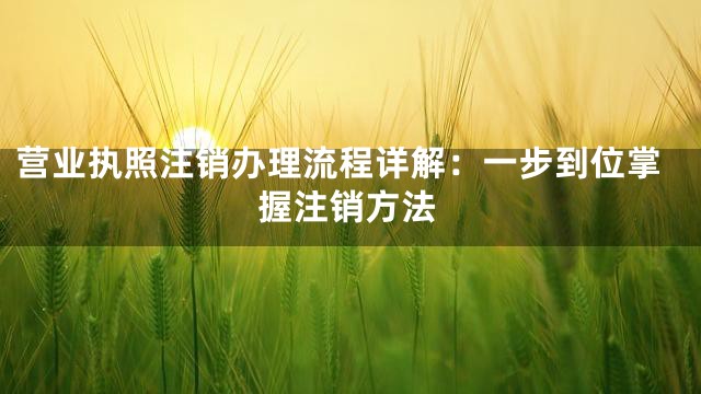 营业执照注销办理流程详解：一步到位掌握注销方法