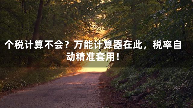 个税计算不会？万能计算器在此，税率自动精准套用！