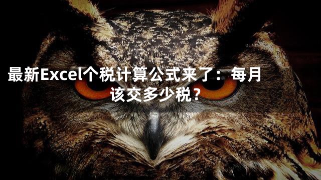 最新Excel个税计算公式来了：每月该交多少税？
