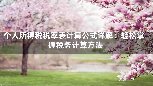 个人所得税税率表计算公式详解：轻松掌握税务计算方法