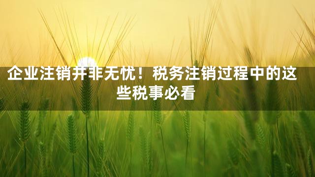 企业注销并非无忧！税务注销过程中的这些税事必看