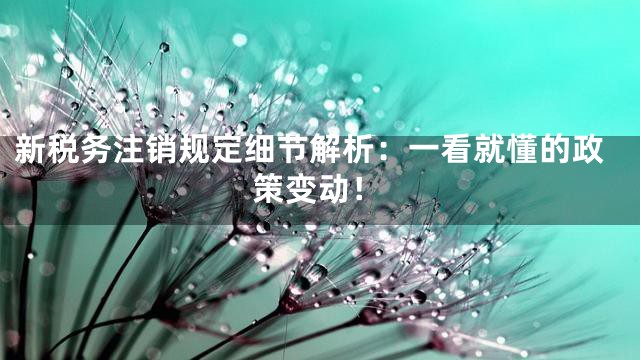 新税务注销规定细节解析：一看就懂的政策变动！