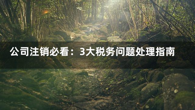 公司注销必看：3大税务问题处理指南