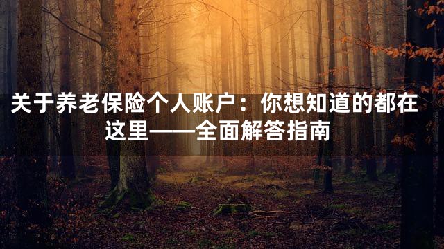 关于养老保险个人账户：你想知道的都在这里——全面解答指南