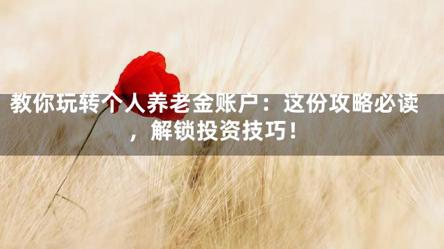 教你玩转个人养老金账户：这份攻略必读，解锁投资技巧！
