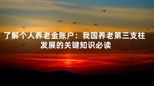 了解个人养老金账户：我国养老第三支柱发展的关键知识必读