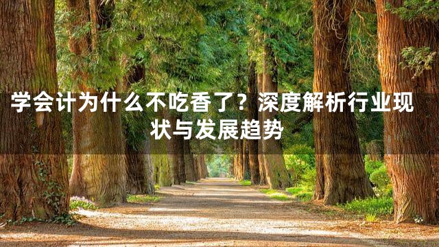 学会计为什么不吃香了？深度解析行业现状与发展趋势