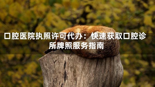 口腔医院执照许可代办：快速获取口腔诊所牌照服务指南