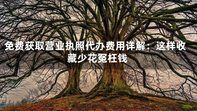 免费获取营业执照代办费用详解：这样收藏少花冤枉钱