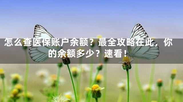 怎么查医保账户余额？最全攻略在此，你的余额多少？速看！