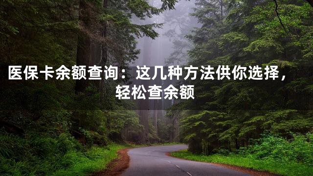 医保卡余额查询：这几种方法供你选择，轻松查余额