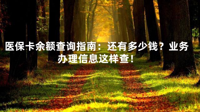 医保卡余额查询指南：还有多少钱？业务办理信息这样查！
