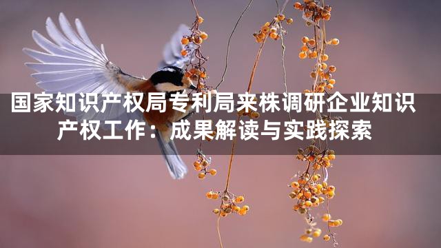 国家知识产权局专利局来株调研企业知识产权工作：成果解读与实践探索