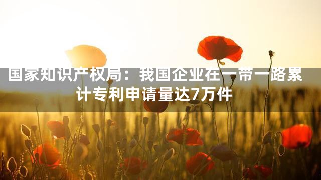 国家知识产权局：我国企业在一带一路累计专利申请量达7万件