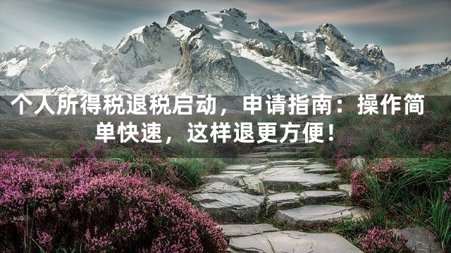 个人所得税退税启动，申请指南：操作简单快速，这样退更方便！