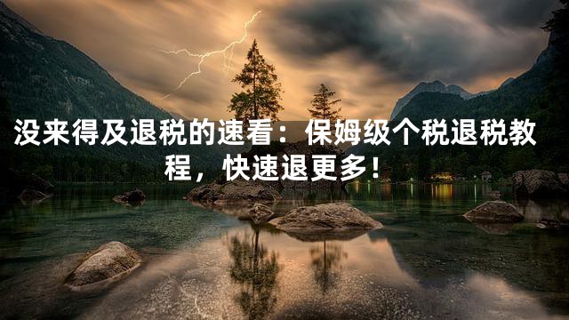 没来得及退税的速看：保姆级个税退税教程，快速退更多！
