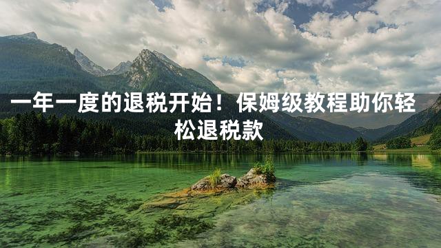 一年一度的退税开始！保姆级教程助你轻松退税款