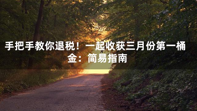 手把手教你退税！一起收获三月份第一桶金：简易指南