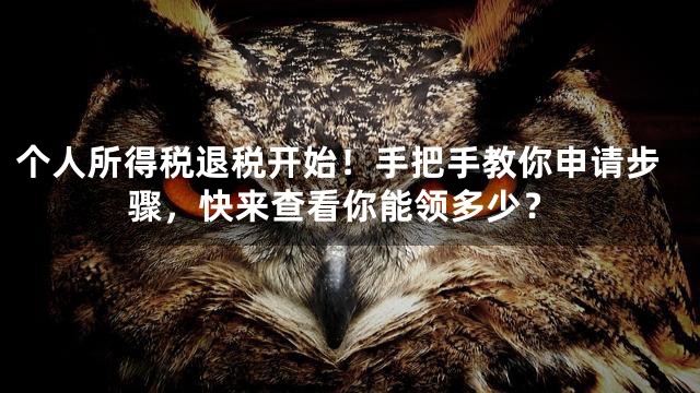 个人所得税退税开始！手把手教你申请步骤，快来查看你能领多少？