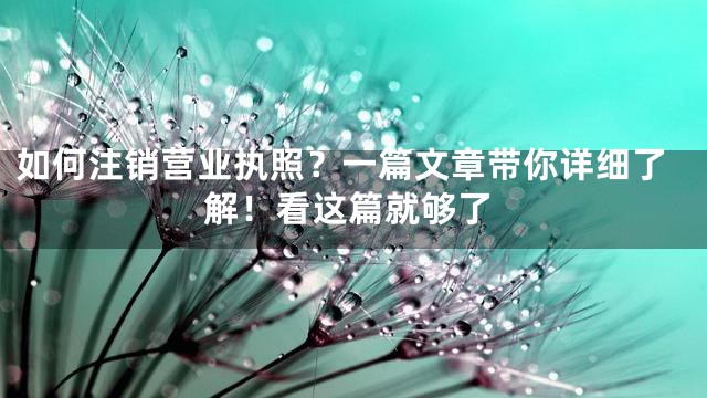 如何注销营业执照？一篇文章带你详细了解！看这篇就够了