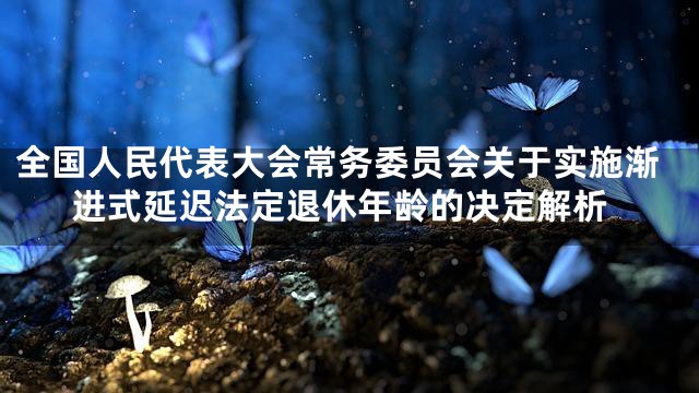 全国人民代表大会常务委员会关于实施渐进式延迟法定退休年龄的决定解析