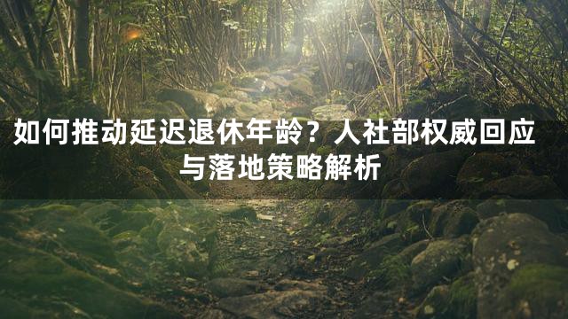 如何推动延迟退休年龄？人社部权威回应与落地策略解析