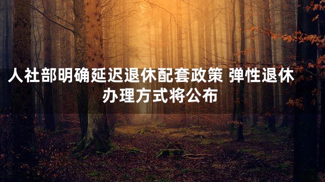 人社部明确延迟退休配套政策 弹性退休办理方式将公布