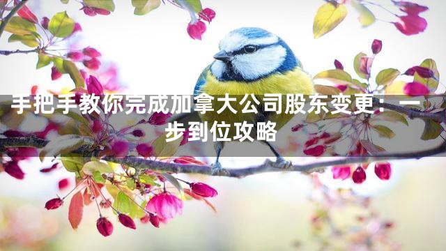 手把手教你完成加拿大公司股东变更：一步到位攻略