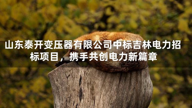 山东泰开变压器有限公司中标吉林电力招标项目，携手共创电力新篇章