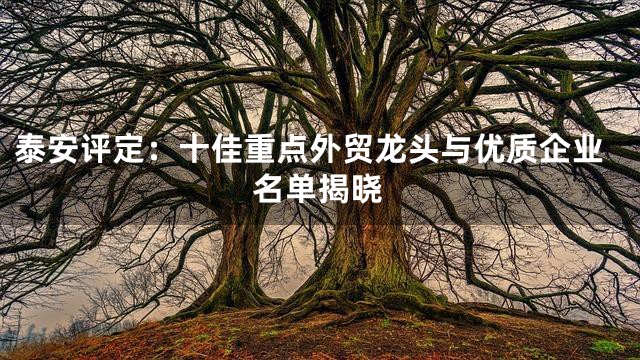 泰安评定：十佳重点外贸龙头与优质企业名单揭晓