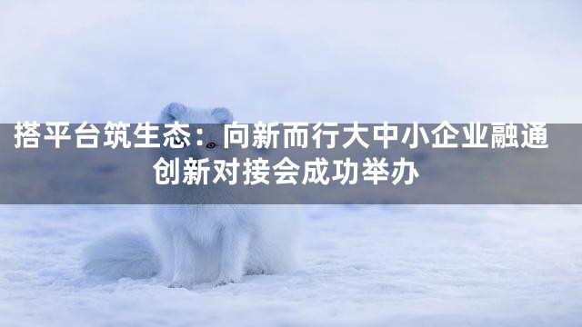 搭平台筑生态：向新而行大中小企业融通创新对接会成功举办