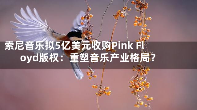 索尼音乐拟5亿美元收购Pink Floyd版权：重塑音乐产业格局？