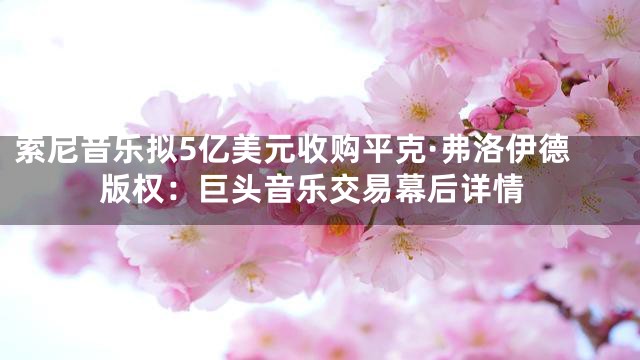 索尼音乐拟5亿美元收购平克·弗洛伊德版权：巨头音乐交易幕后详情