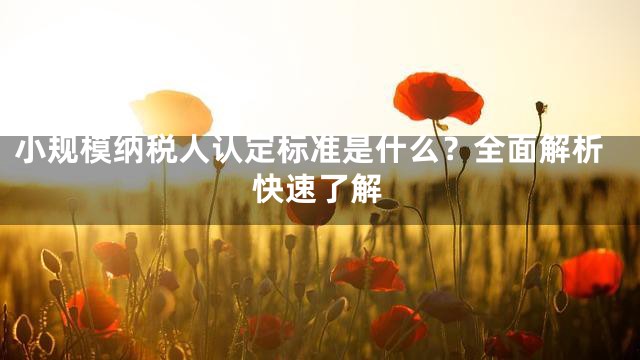 小规模纳税人认定标准是什么？全面解析快速了解