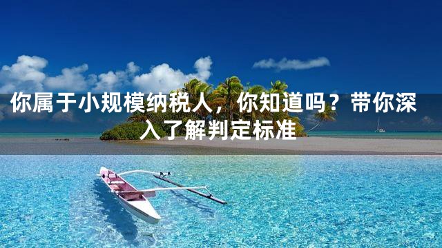 你属于小规模纳税人，你知道吗？带你深入了解判定标准