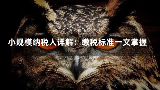 小规模纳税人详解：缴税标准一文掌握