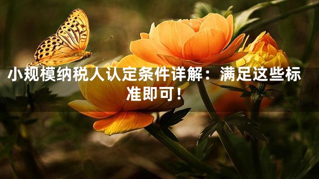 小规模纳税人认定条件详解：满足这些标准即可！