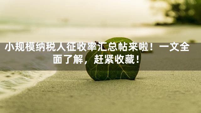 小规模纳税人征收率汇总帖来啦！一文全面了解，赶紧收藏！