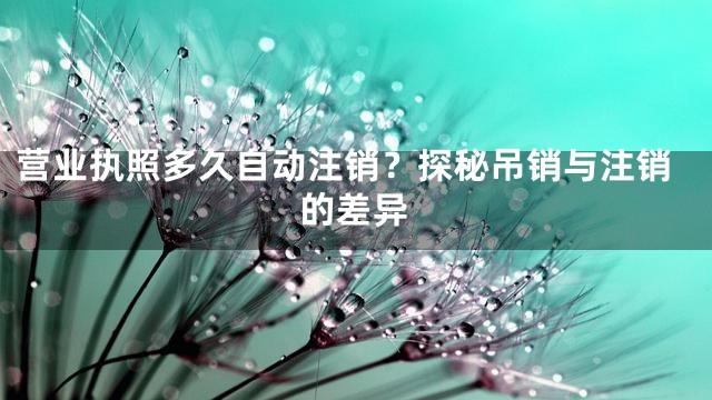 营业执照多久自动注销？探秘吊销与注销的差异
