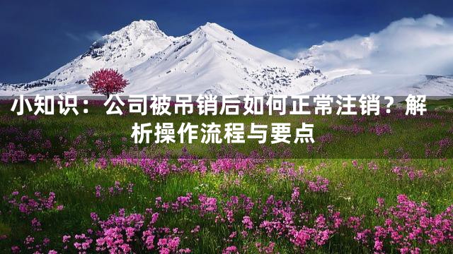 小知识：公司被吊销后如何正常注销？解析操作流程与要点