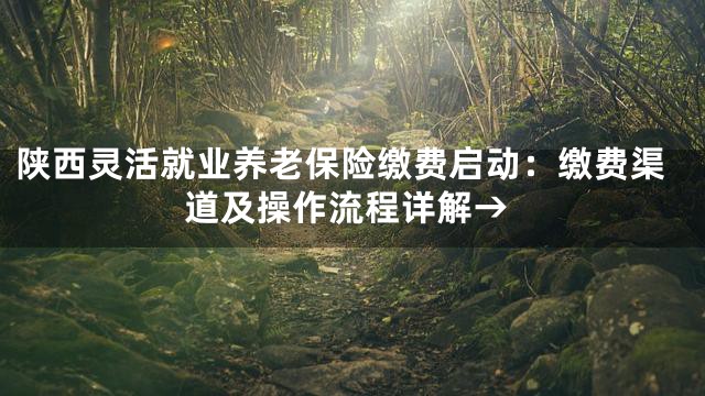 陕西灵活就业养老保险缴费启动：缴费渠道及操作流程详解→