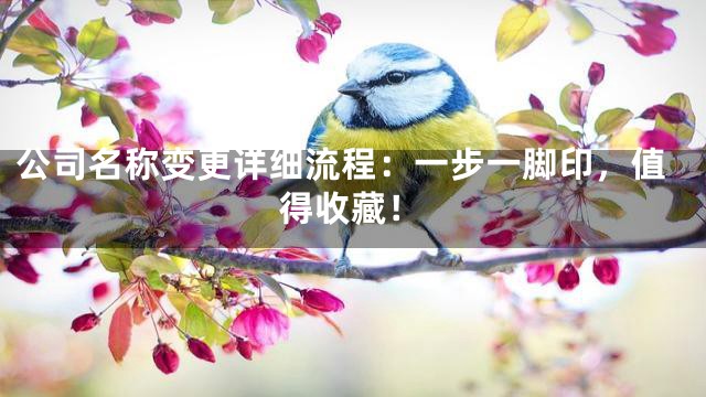公司名称变更详细流程：一步一脚印，值得收藏！