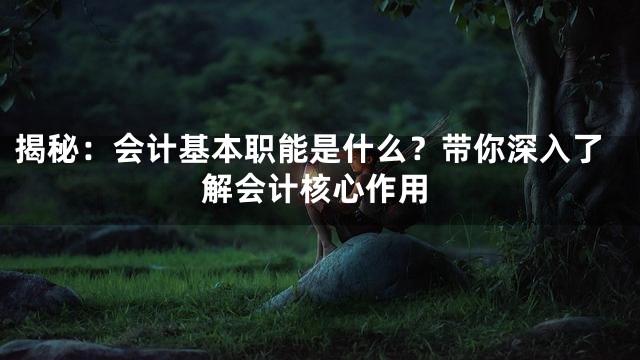 揭秘：会计基本职能是什么？带你深入了解会计核心作用