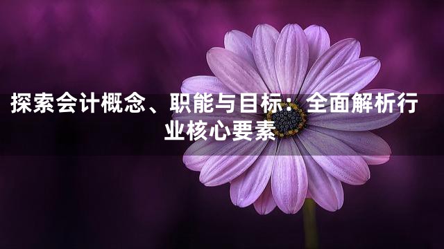探索会计概念、职能与目标：全面解析行业核心要素