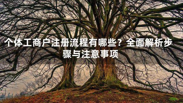 个体工商户注册流程有哪些？全面解析步骤与注意事项