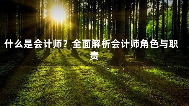 什么是会计师？全面解析会计师角色与职责
